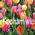 TAG KOCHAM WIOSNĘ! 