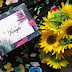 ShinyBox Sierpień 2017 The Beauty Jungle